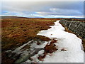 SD8778 : Boundary Wall on Eller Carr Moss by Chris Heaton