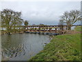 TF3902 : High water level in Morton's Leam - The Nene Washes by Richard Humphrey