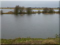 TF3902 : Flooded from bank to bank - The Nene Washes by Richard Humphrey