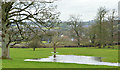 J1560 : Flooded field, Moira by Albert Bridge