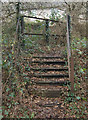 SS9084 : Steps at railway crossing, Brynmenyn by eswales