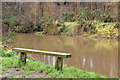 J3268 : Bench, River Lagan, Belfast by Albert Bridge