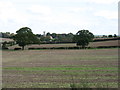 SK7372 : Fields south of East Markham by David Purchase