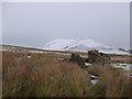 NT2164 : Ruins of Kirkton Cottage by Alan O'Dowd