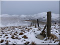 NT2065 : Fence on Harbour Hill by Alan O'Dowd