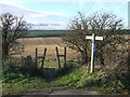 TQ2609 : Path on the South Downs near Hove by Malc McDonald