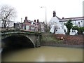 SE9907 : Trees can lift walls, Brigg by Christine Johnstone