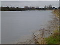 TF3902 : Flooding near Ring's End - The Nene Washes by Richard Humphrey