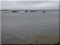 TF3500 : Flooded sheds - The Nene Washes by Richard Humphrey