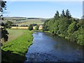 NS7709 : River Nith by Richard Webb