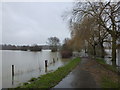 TL1498 : The River Nene flooding into Overton Lake by Richard Humphrey