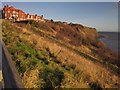 NZ9505 : Coastal slope at Robin Hood's Bay by Derek Harper