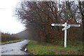 SS7615 : Woodland and road north of Affeton Moor Cross by David Smith