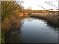 TA0323 : The Reedbeds in January by David Wright