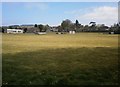 NO4450 : Forfar Cricket Pitch by Stevan Hogg