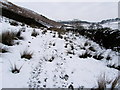 SD7446 : Rough Pasture below Simpshey Hill by Chris Heaton