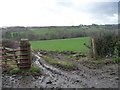 SE2806 : Muddy field entrance south of Banks Hall by Christine Johnstone