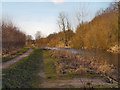 SJ5695 : Sankey Canal, Newton Common by David Dixon