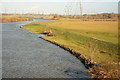 SK8171 : Trent floodbank by Richard Croft