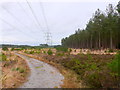 SY8691 : Heathland Track by Nigel Mykura