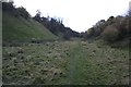 SK2660 : View up Wensley Dale by Dave Dunford