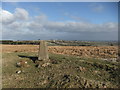  : Trig Pillar on Hindon Hill by David Brown