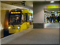 SJ8497 : Arrivals Platform, Piccadilly Undercroft by David Dixon