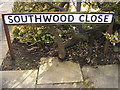 TM3862 : Southwood Close sign by Geographer