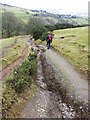 NY2925 : Path erosion on the eastern spur of Latrigg by Oliver Dixon