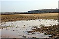 SJ3959 : Waterlogged farmland near Poulton by Jeff Buck