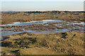 SS7882 : Large pool in the north of Kenfig Burrows by eswales