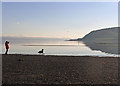 NH7054 : Low tide walk along the shoreline off Avoch by Julian Paren