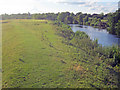 SK4133 : River Dervent below Borrowash Bridge by Trevor Rickard