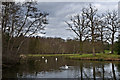 TQ0959 : The Lake, Painshill Park by Ian Capper