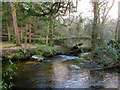 SX6887 : Teignmeet and Leigh Bridge by Derek Harper