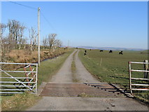  : Road to Mains of Dhuloch by Billy McCrorie