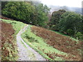 NY3506 : The Coffin Route between Grasmere and Rydal by David Purchase