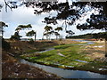 NT6378 : East Lothian Landscape : The Lower Bends On The Hedderwick Burn by Richard West