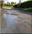 SU3180 : Groundwater Flooding, Upper Lambourn by Des Blenkinsopp