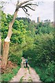 SO4585 : Distant View To Flounders Folly by Rude Health 