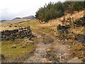 SE0103 : The Path Around Dove Stone Reservoir by David Dixon