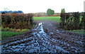 ST6590 : A muddy field entrance, Woodbine Farm east of Thornbury by Jaggery