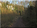 TQ6178 : Path through Grays Gorge by Roger Jones