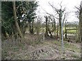 SE3440 : Footpath sign, Brandon Lane by Christine Johnstone