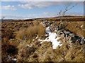 NS3679 : Dry-stone wall by Lairich Rig