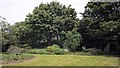 TL1998 : Tout Hill or Mount Thorold / Turold (Peterborough Castle) by Julian Dowse