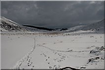  : Glen Beanie in snow by Becky Williamson