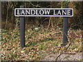 TG1307 : Landlow Lane sign by Geographer