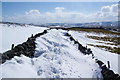 SE0166 : Green lane on New Pasture Edge by Bill Boaden