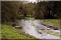 ST9998 : Looking up the infant River Thames by Steve Daniels